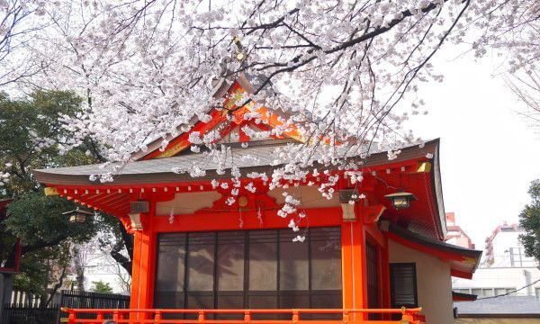 Japanska språkresa Fukuoka - City Japanska språkresa Fukuoka - City