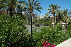 Studera spanska i Valencia - Floden