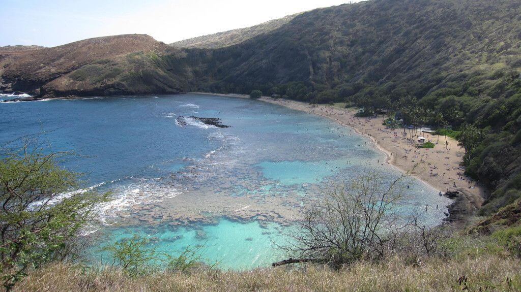 Studera utomlands, KCC-Hanauma Bay