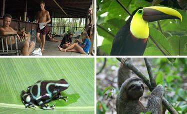 Volontär-Manuel-Antonio-National-Park-Costa-Rica