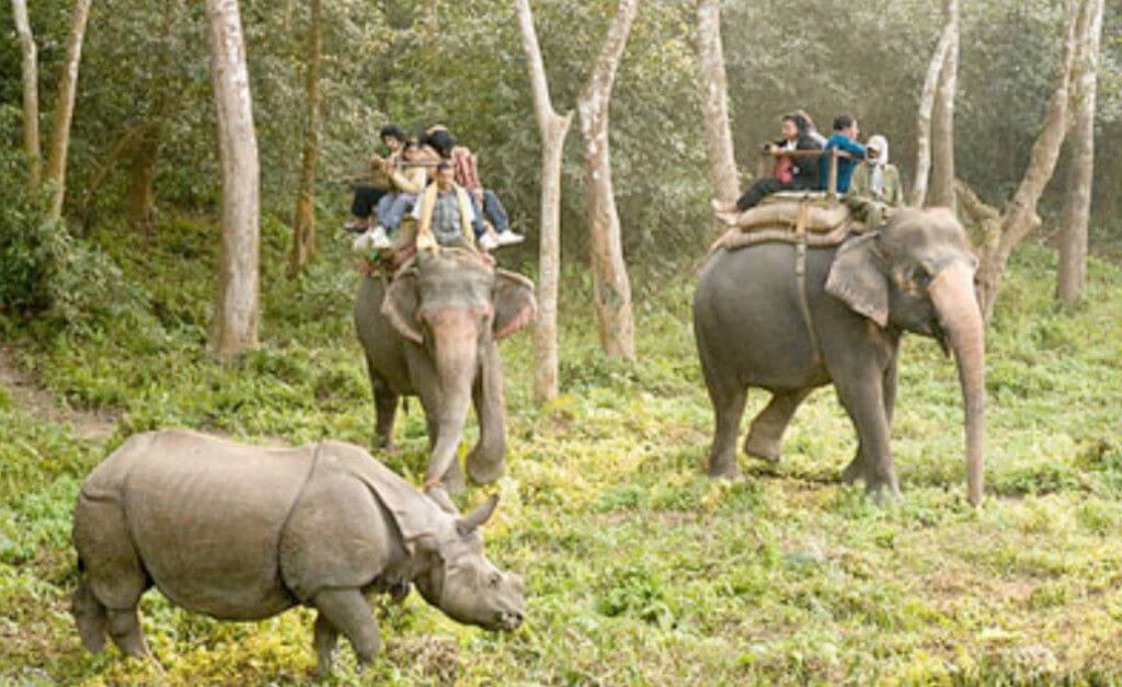Volontär i Nepal - Chitwan