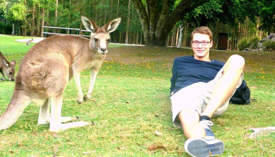 Studier på University of Sunshine Coast - Kanguru