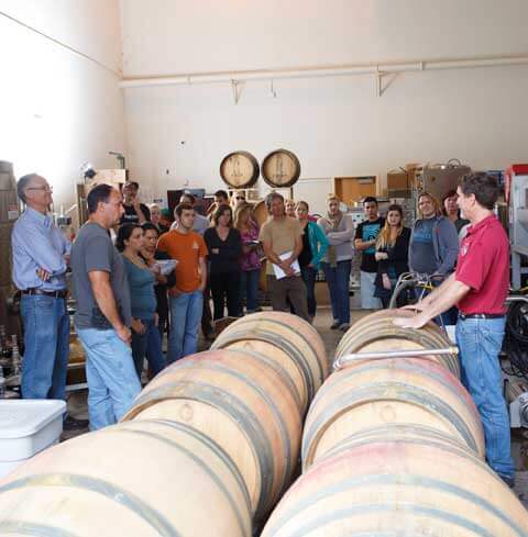 Sommelier-utbildning & Vinkunskap i Sonoma County, USA
