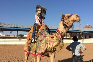 Volontär i Jaipur - Kamelsafari